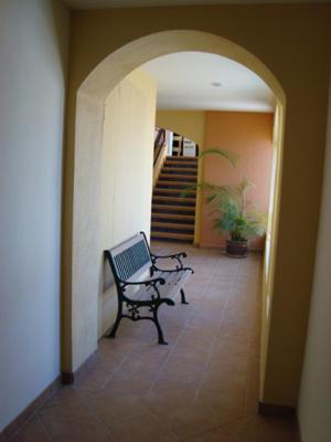 Hotel Colli San José del Cabo Zewnętrze zdjęcie